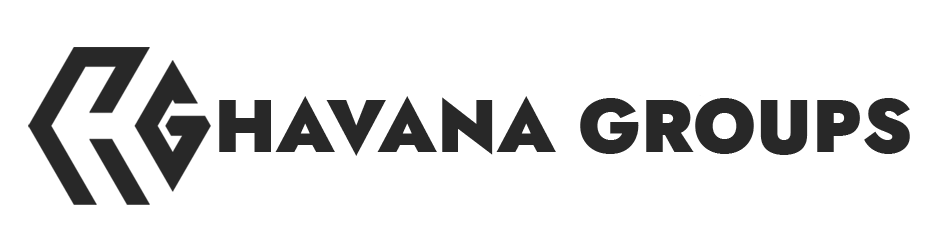 havanagroups.fr